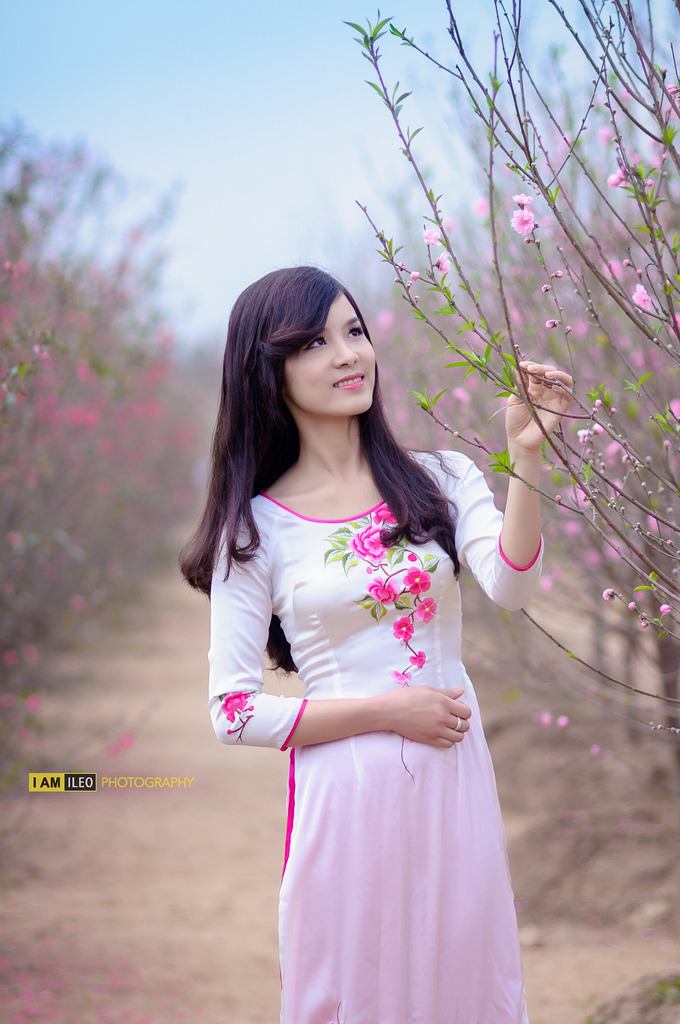 尋找紫菱