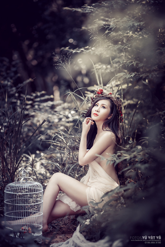 國內(nèi)av在線播放